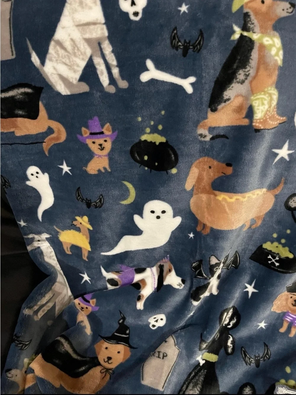 Halloween Well Dressed Home Custumed Dogs Throw - Halloween Dogs Throw